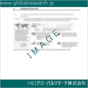 グローバルリサーチ調査資料のイメージ